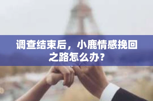 调查结束后，小鹿情感挽回之路怎么办？