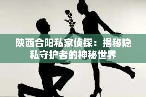 陕西合阳私家侦探：揭秘隐私守护者的神秘世界