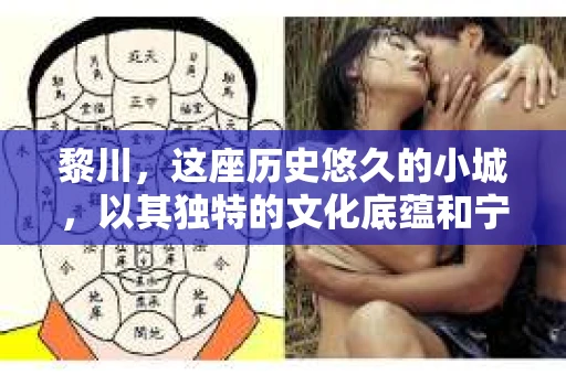 黎川，这座历史悠久的小城，以其独特的文化底蕴和宁静的生活节奏吸引着无数游客。然而，在这样一个看似平静的城市里，你是否会好奇，有没有私家侦探机构的存在呢？今天，就让我带你一探究竟。