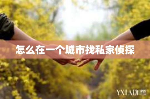 怎么在一个城市找私家侦探
