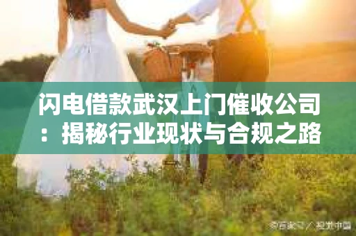 闪电借款武汉上门催收公司：揭秘行业现状与合规之路