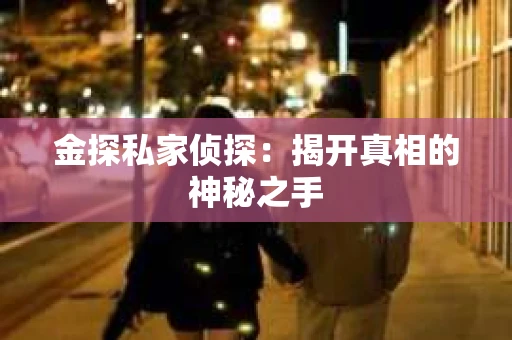 金探私家侦探：揭开真相的神秘之手