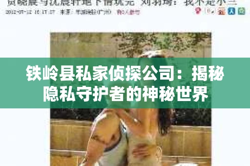 铁岭县私家侦探公司：揭秘隐私守护者的神秘世界