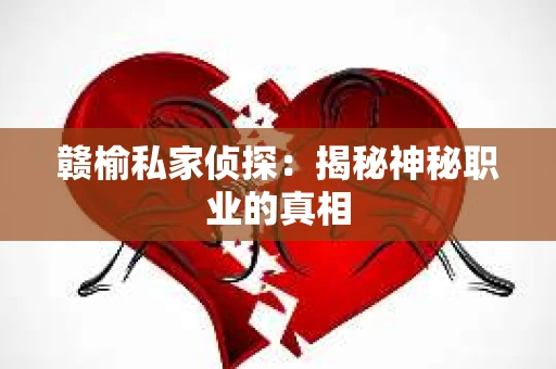 赣榆私家侦探：揭秘神秘职业的真相