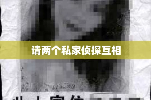 请两个私家侦探互相