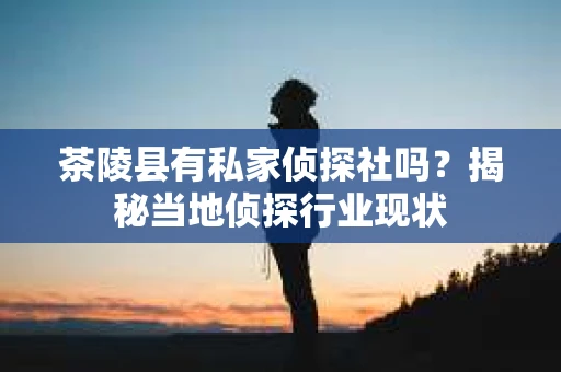 茶陵县有私家侦探社吗？揭秘当地侦探行业现状
