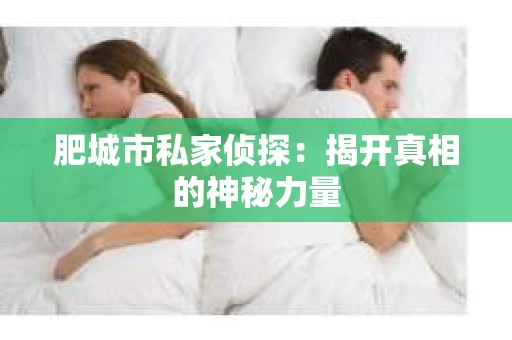 肥城市私家侦探：揭开真相的神秘力量