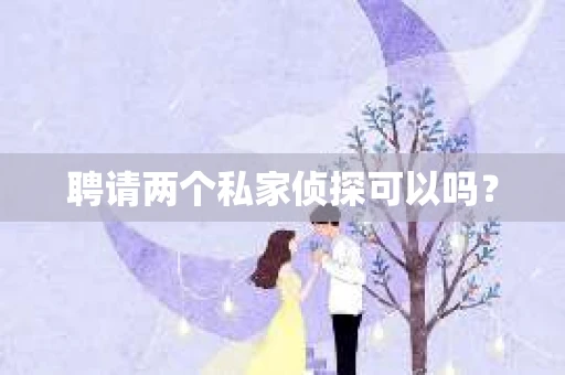 聘请两个私家侦探可以吗? 聘请两个私家侦探可以吗?