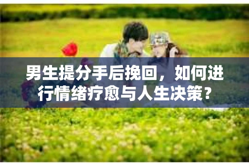 男生提分手后挽回，如何进行情绪疗愈与人生决策？
